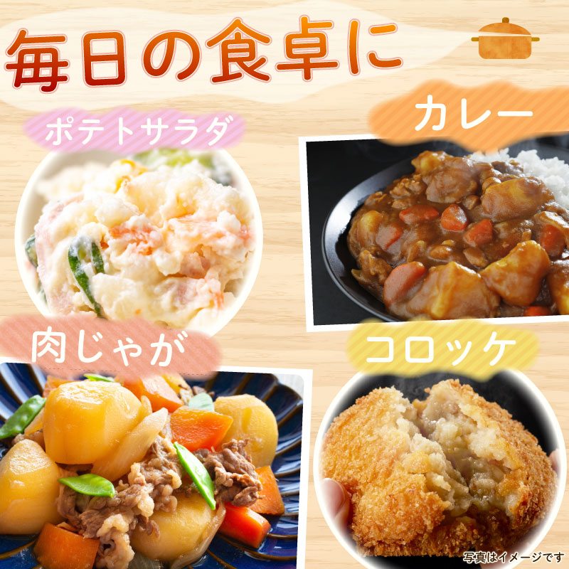 【先行予約 2027年3月順次発送 国産 じゃがいも】掘りたて メークイン 2kg 国産 牧之原産  美味しい たっぷり 旬 野菜 国産 新鮮 お試し 牧之原産 サラダ 野菜 朝採れ 季節の野菜 食品