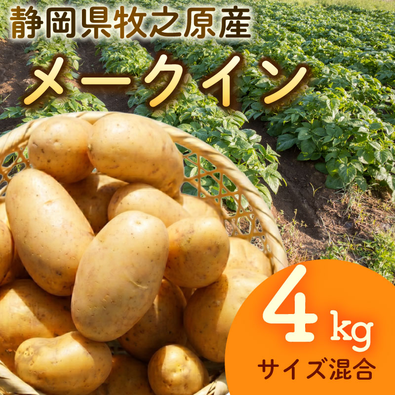 【先行予約 2027年3月順次発送 国産 じゃがいも】 掘りたて メークイン 4kg  新じゃが 国産 牧之原産  美味しい たっぷり 旬 野菜 国産 新鮮 お試し 牧之原産 サラダ 野菜 朝採れ 季