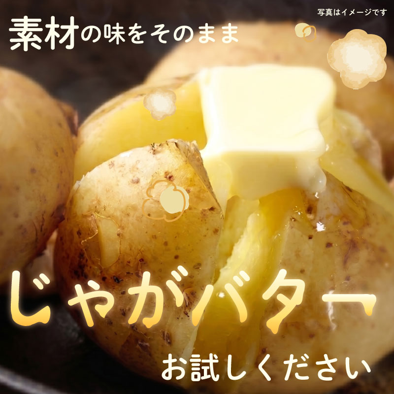 【先行予約 2027年3月順次発送 国産 じゃがいも】 掘りたて メークイン 4kg  新じゃが 国産 牧之原産  美味しい たっぷり 旬 野菜 国産 新鮮 お試し 牧之原産 サラダ 野菜 朝採れ 季