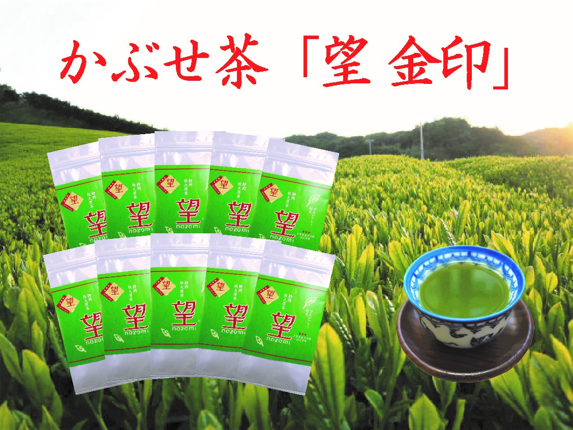 【5月より新茶切り替え】 牧之原 かぶせ茶「望」10本 セット お茶 茶 深蒸し 煎茶 深蒸し茶 新茶 しんちゃ 緑茶 旬 日常 のし 熨斗 贈答 ギフトプレゼント お中元 お歳暮