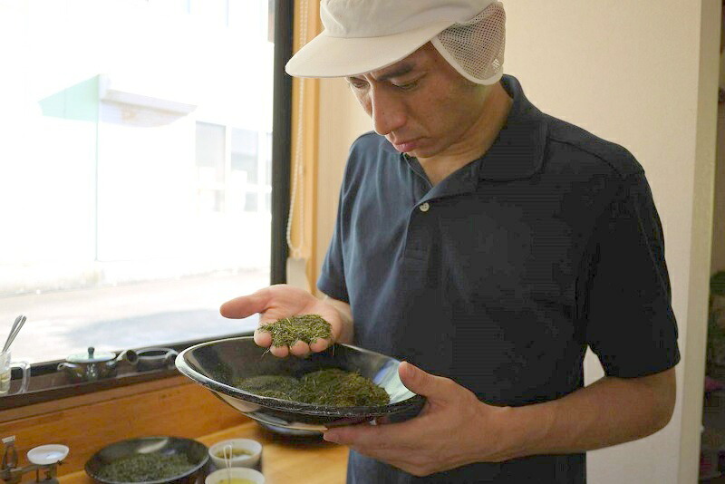 【緑茶】牧之原産 深蒸し茶 ティー バッグ 「富士美人」5袋 セット お茶 茶 旬 日常 日用品 のし 熨斗 贈答 贈答用 ギフト 深むし茶 深蒸し 深むし おちゃ 日本茶 静岡茶 牧之原茶 煎茶 贈