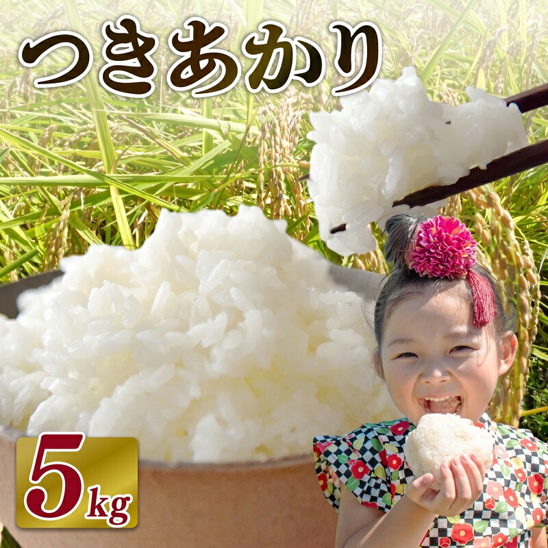 【先行予約】 米 つきあかり 5 kg  お米 白米 白米 精米 ご飯 白 ごはん おいしい お茶 1袋 緑茶 玄米茶 やぶきた ティーパック 深蒸し茶  国産 日用品 日常 便利 おすすめ