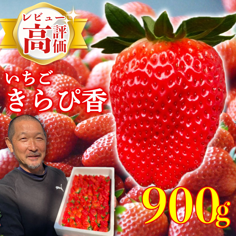 【先行予約】 完熟 いちご 鈴木農園の朝摘み きらぴ香 900 g 訳あり デザート フルーツ イチゴ 苺 果物 ストロベリー 甘い  朝摘み 朝採れ 果物 いちご くだもの スイーツ デザート スト