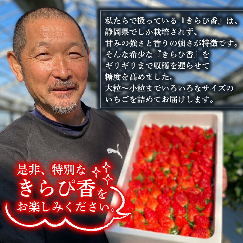 【冷凍いちご】 きらぴ香 2kg  国産 冷凍 いちご 1kg × 2袋 ヘタ取り デザート フルーツ イチゴ 苺 おいしい 贈り物 果物 ストロベリー 甘い 果物 いちご くだもの スイーツ デザー