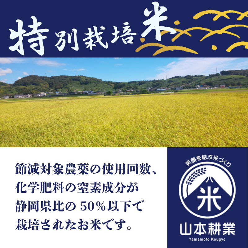 ミルキークイーン 10kg 無洗米 特別栽培米 5kg × 2袋 お米 米 白米 みるきーくいーん おこめ 精米 ご飯ごはん おいしい 国産 日用品 日常 便利 こめ 米 お米 白ご飯 ごはん ご飯