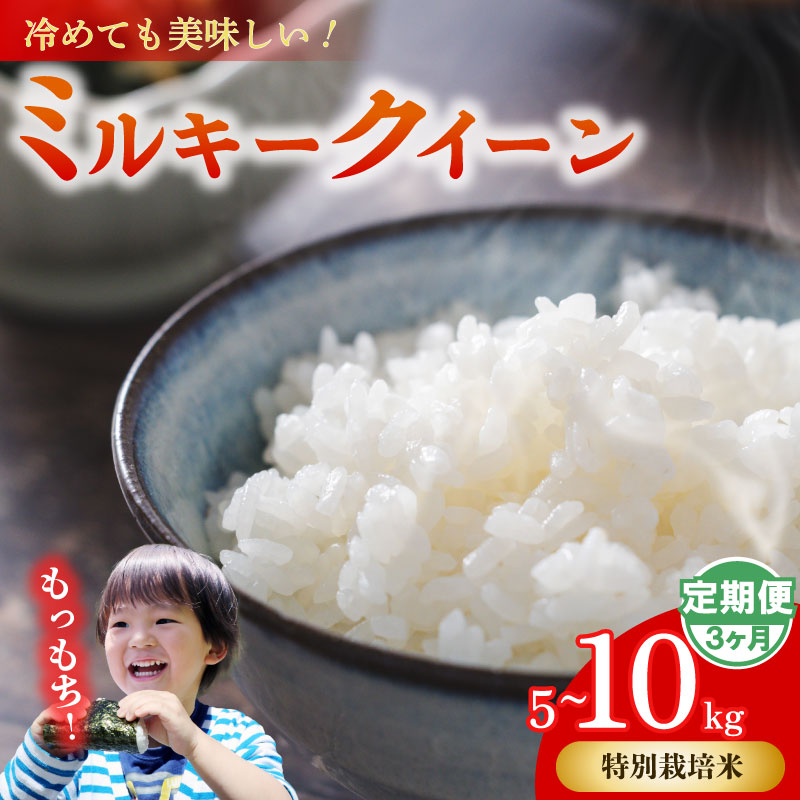 【3ヶ月定期便】 ミルキークイーン 5kg × 3回  無洗米 【特別栽培米】お米 米 白米 みるきーくいーん おこめ こめ 精米 ご飯ごはん おいしい 国産 日用品 日常 便利 甘い 米 お米 ごは