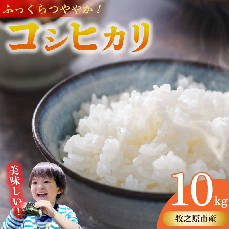 コシヒカリ 10kg