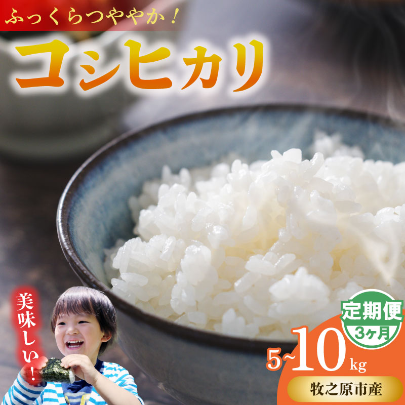 【3ヶ月定期便】 コシヒカリ 5kg × 3回 無洗米 お米 米 白米 こしひかり おこめ こめ 精米 ご飯ごはん おいしい 国産 日用品 日常 便利 甘い 米 お米 白ご飯 ごはん ご飯 お米 5
