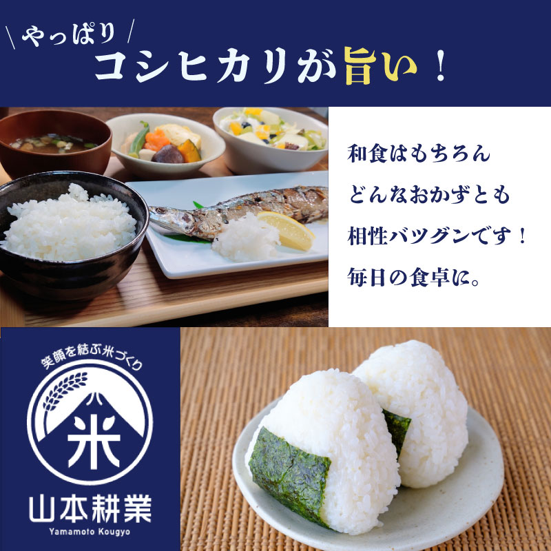 【3ヶ月定期便】 コシヒカリ 5kg × 3回 無洗米 お米 米 白米 こしひかり おこめ こめ 精米 ご飯ごはん おいしい 国産 日用品 日常 便利 甘い 米 お米 白ご飯 ごはん ご飯 お米 5