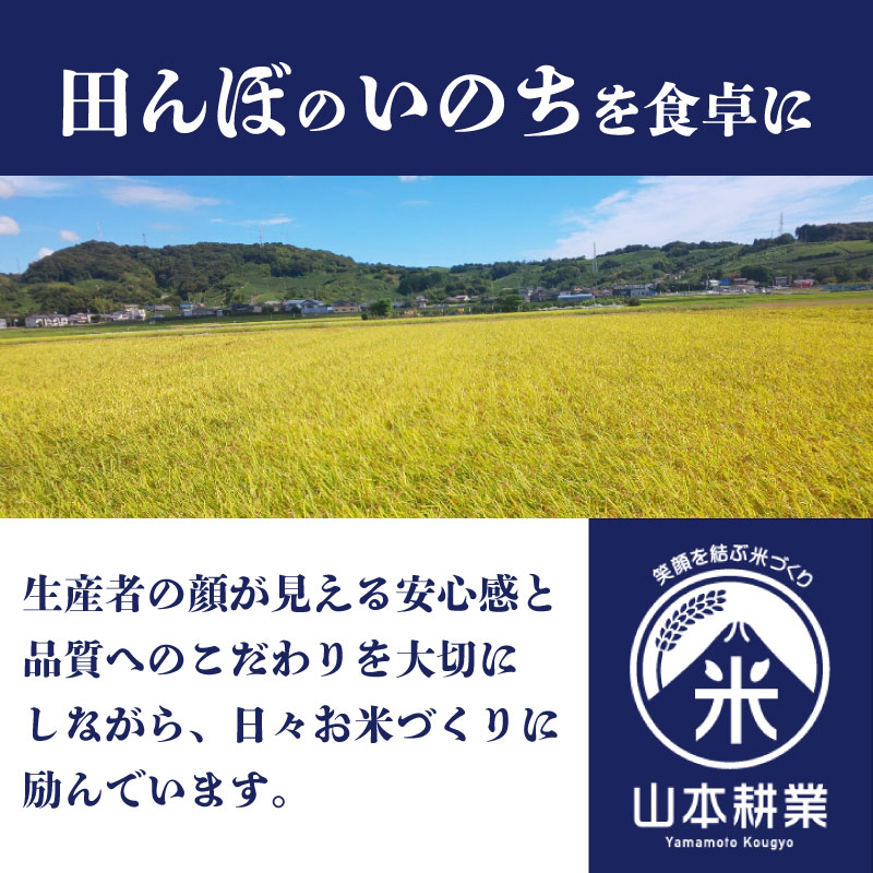 【3ヶ月定期便】 コシヒカリ 5kg × 3回 無洗米 お米 米 白米 こしひかり おこめ こめ 精米 ご飯ごはん おいしい 国産 日用品 日常 便利 甘い 米 お米 白ご飯 ごはん ご飯 お米 5