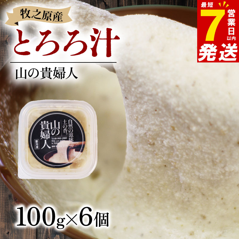 【ZIP!の「水卜あさみと一緒に朝ごはん」で紹介されました!】 冷凍 自然薯 とろろ汁 山の貴婦人 100g × 6個 セット パック とろろ 山芋 ヤマイモ 山いも じねんじょ 食欲