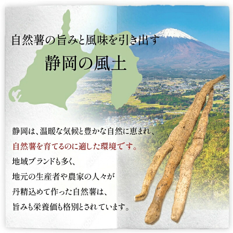 【ZIP!の「水卜あさみと一緒に朝ごはん」で紹介されました!】 とろろ汁 山の貴婦人 300g × 3個 ギフト 仕様 冷凍 自然薯 パック セット とろろ 山芋 ヤマイモ 山いも じねんじょ 滋養強