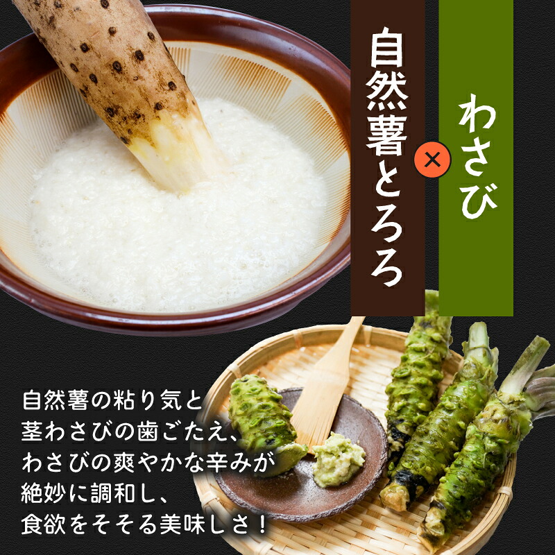 【ZIP!の「水卜あさみと一緒に朝ごはん」で紹介されました!】 とろろ 3種セット 100g × 3種 × 2個 計6個 セット 計600g 食べ比べ 山芋 自然薯 じねんじょ ご飯 個包装 小分け