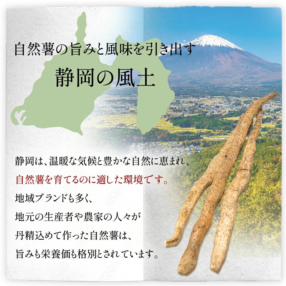 とろろ 味付き とろろ汁 185g × 6 パック セット 山芋 ヤマイモ 山いも じねんじょ 自然薯 ごはん 漬け丼 白米 冷凍 滋養強壮 食欲増進 ご飯お供  栄養 夏バテ 個包装 小分け お取り