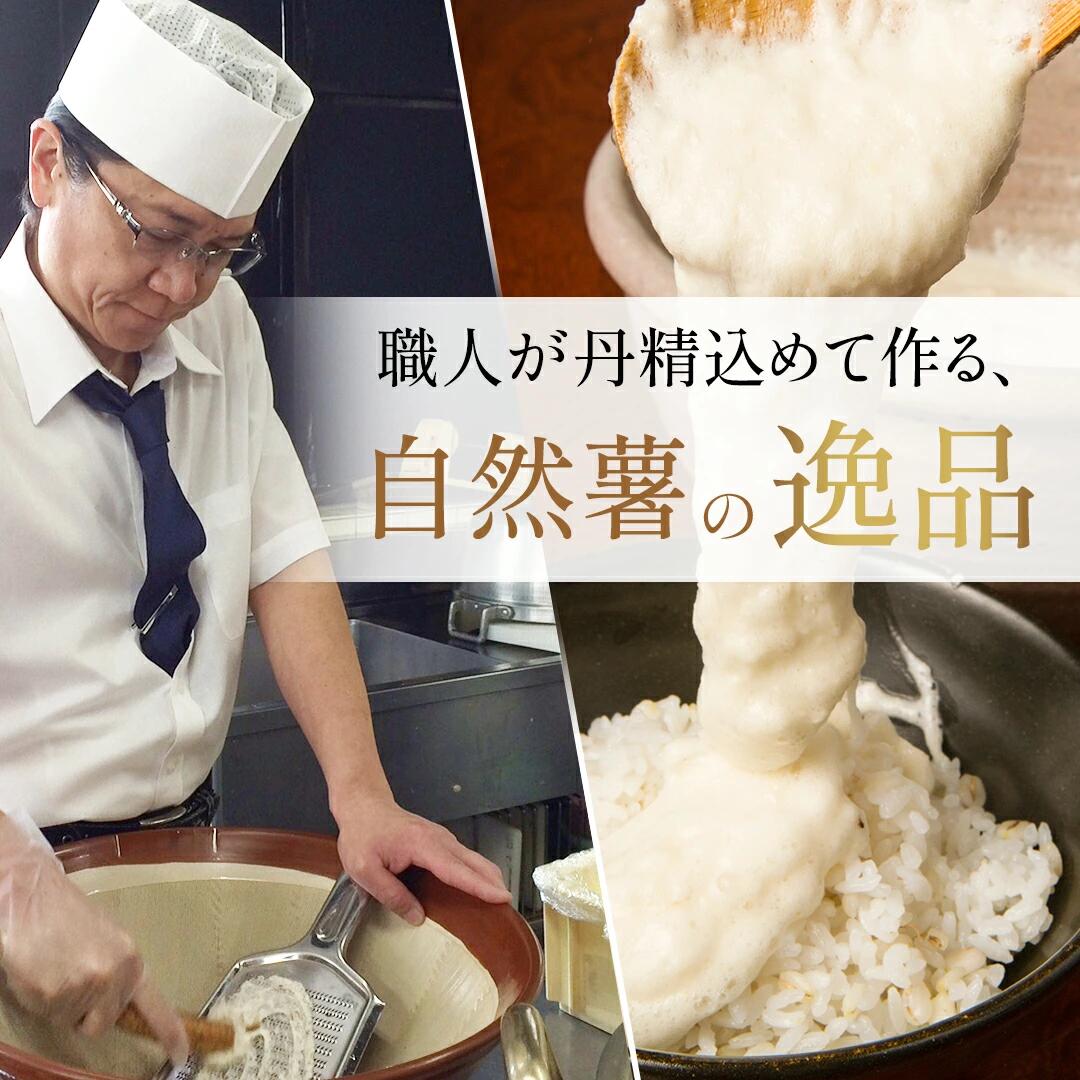 とろろ 味付き とろろ汁 285g × 2 パック チューブ セット とろろ 山芋 ヤマイモ 山いも じねんじょ 自然薯 ごはん 漬け丼 白米 冷凍 滋養強壮 食欲増進 ご飯お供