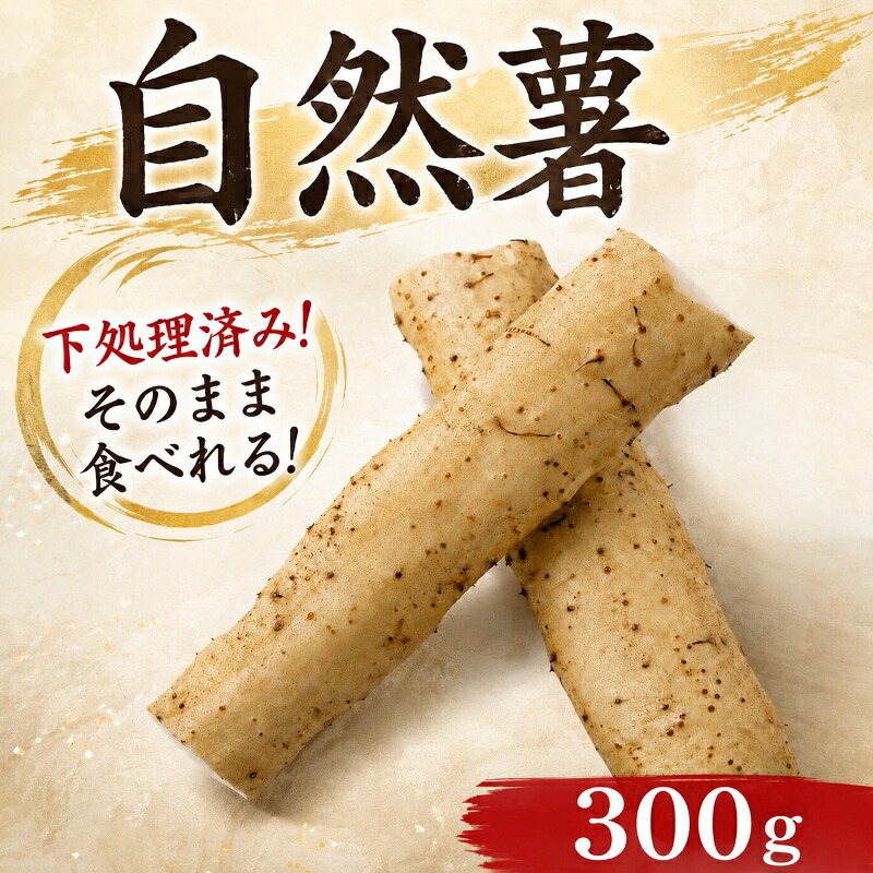 天然 自然薯 300 g 晩御飯 お弁当 昼 夜 朝 ランチ おいしい 牛丼 じねんじょ とろろ 高級 下処理済 届いてすぐ食べられる お取り寄せ ギフト グルメ 贈答 イチオシ お