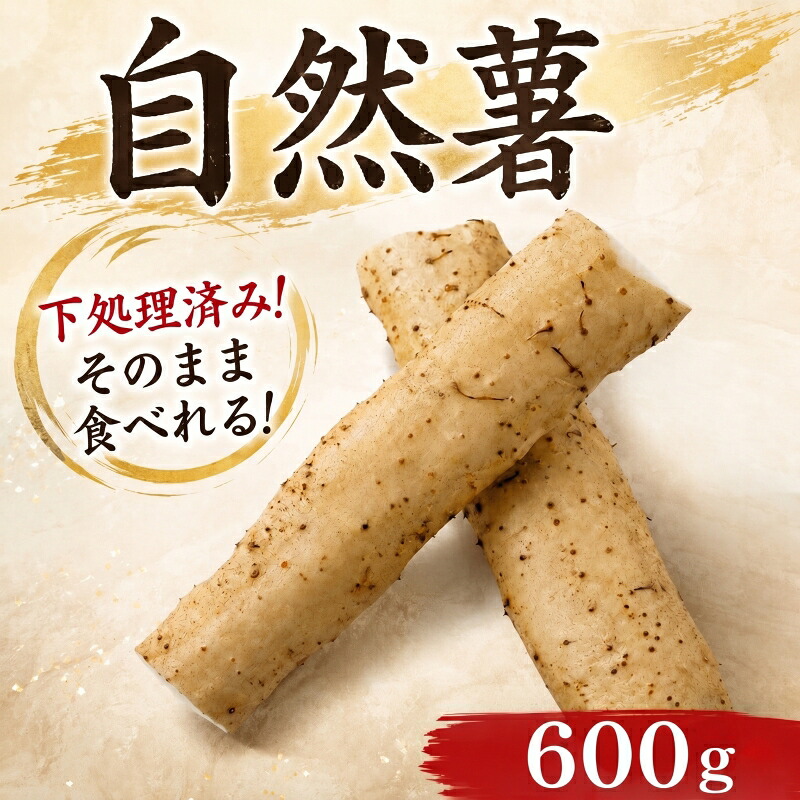 天然 自然薯 300g × 2パック 晩御飯 お弁当 昼 夜 朝 ランチ おいしい 牛丼 じねんじょ とろろ 高級 下処理済 届いてすぐ食べられる お取り寄せ ギフト グルメ 贈答