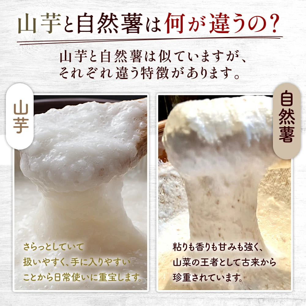 天然 自然薯 300g × 2パック 晩御飯 お弁当 昼 夜 朝 ランチ おいしい 牛丼 じねんじょ とろろ 高級 下処理済 届いてすぐ食べられる お取り寄せ ギフト グルメ 贈答
