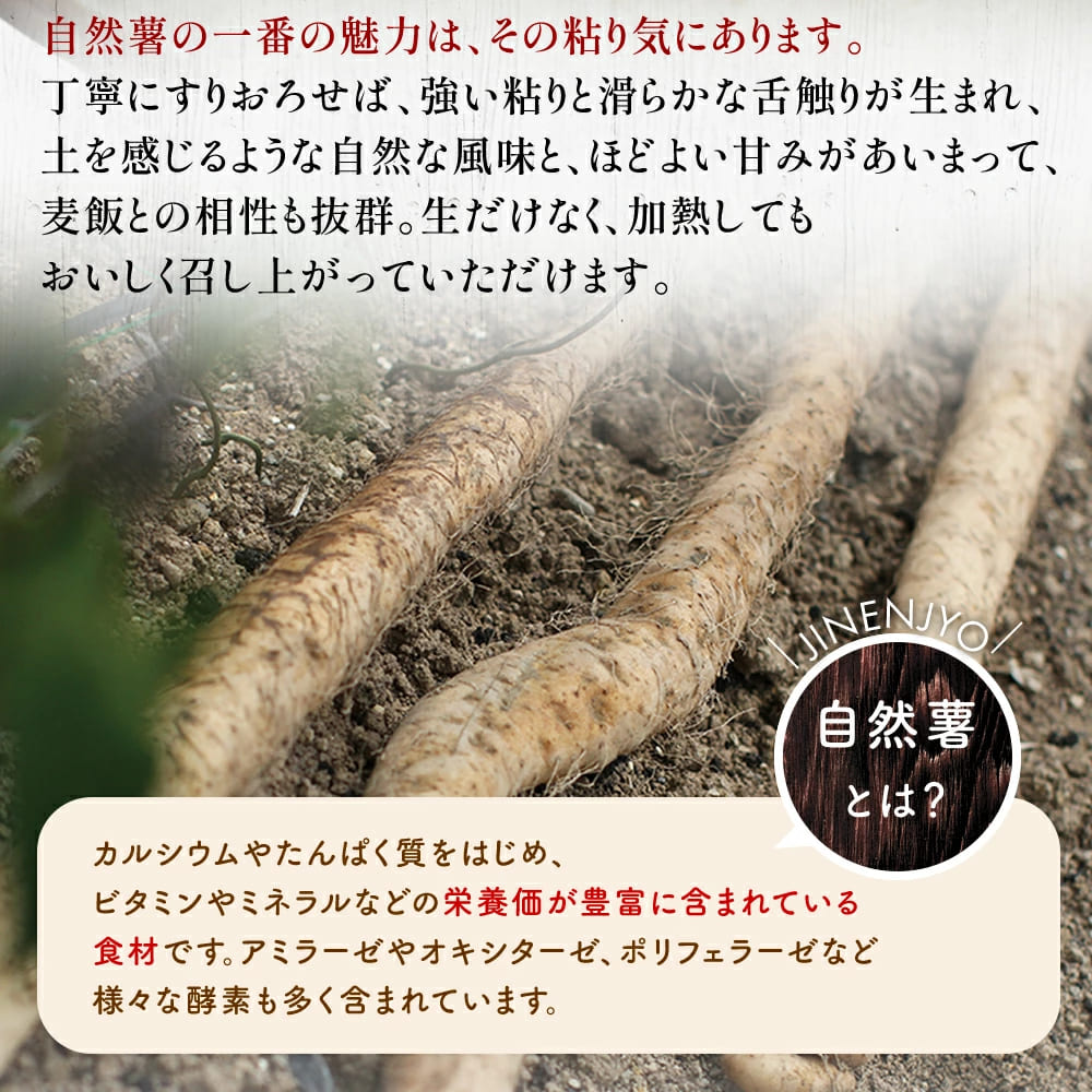 天然 自然薯 300g × 2パック 晩御飯 お弁当 昼 夜 朝 ランチ おいしい 牛丼 じねんじょ とろろ 高級 下処理済 届いてすぐ食べられる お取り寄せ ギフト グルメ 贈答