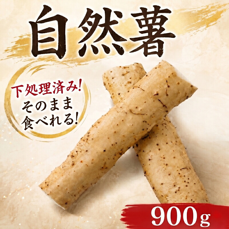 天然 自然薯 300g × 3パック 晩御飯 お弁当 昼 夜 朝 ランチ おいしい 牛丼 じねんじょ とろろ 高級 下処理済 届いてすぐ食べられる お取り寄せ ギフト グルメ 贈答
