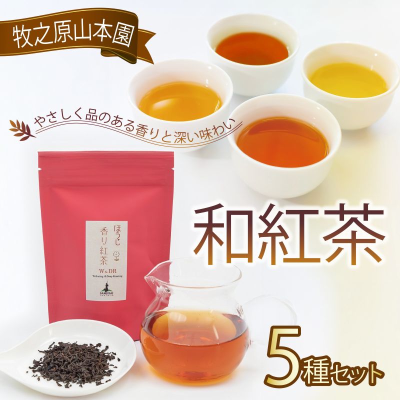 【受賞歴多数】 和紅茶セレクトプレミアムおすすめ5種セット 和紅茶 飲み比べ セット ほうじ香り紅茶 和らぎ香り棒焙煎紅茶 春摘み 夏摘み あかね 紅茶 こうちゃ お茶 茶 茶葉 tea ティー べに