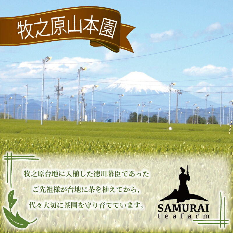 【国産和紅茶】花香り 和紅茶 ティーバッグ 3g×10包 5袋 べにふうき 国産紅茶 国産 紅茶 こうちゃ わこうちゃ 紅茶べにふうき 春摘み紅茶 お茶 茶 ちゃ 茶葉 贈答 プレゼント ギフト 紅茶
