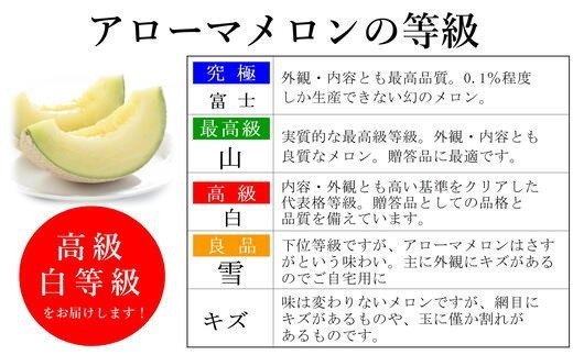 【通年発送可】　静岡県産 アローマメロン 白級 1玉 化粧箱入 贈答 高級 甘い ジューシー とろける 極み メロン めろん プレゼント ギフト 贈答品 贈り物 ギフト 高品質 メロン めろん スイー
