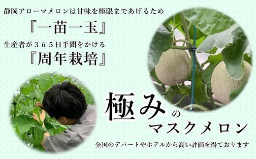 【通年発送可】　静岡県産 アローマメロン 白級 1玉 化粧箱入 贈答 高級 甘い ジューシー とろける 極み メロン めろん プレゼント ギフト 贈答品 贈り物 ギフト 高品質 メロン めろん スイー