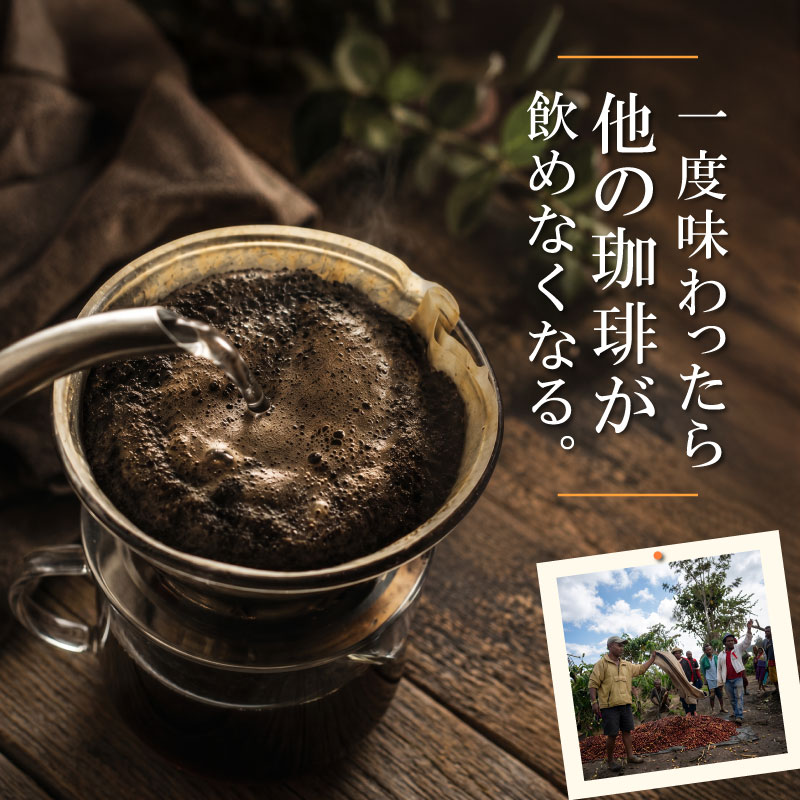 【珈琲】MUSUBI　COFFEE　贅沢時間ギフト＜粉＞ ブルーマウンテンNO	1 厳選豆 直火焙煎 挽きたて カリタドリップポット付き 高級豆 飲料 コーヒー 豆 深煎り アウトドア キャンプ 飲み