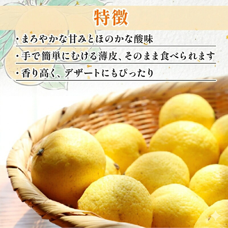 【訳あり】 黄金柑 3kg 低農薬 無化学肥料 みかん ミカン おうごんかん フルーツ 果物 くだもの 柑橘 かんきつ ビタミンC 富士長株式会社 静岡県 牧之原市  わけあり ワケアリ ゴールデンオ