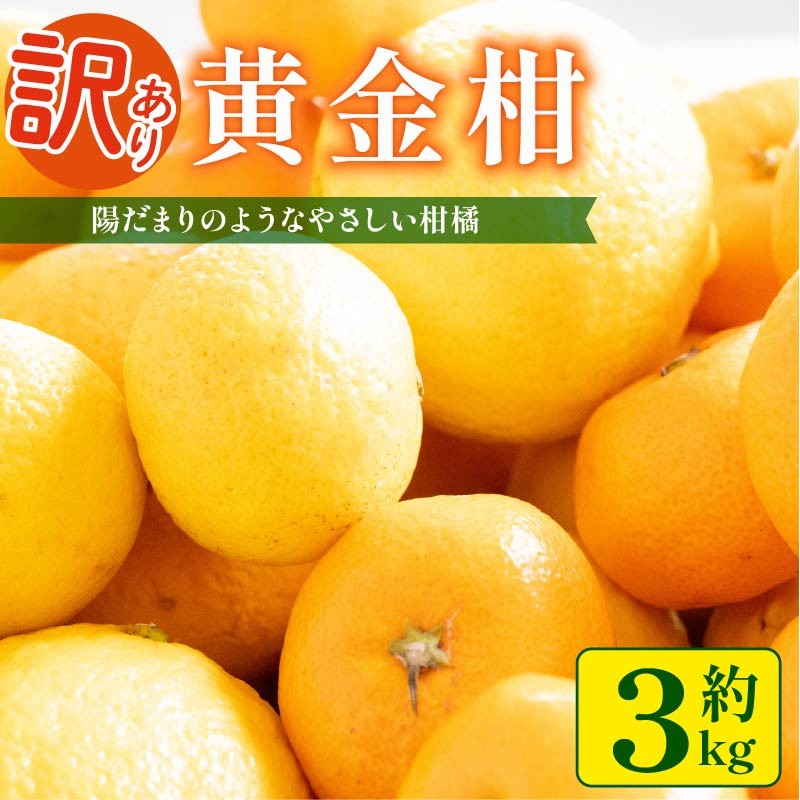 黄金柑 3kg