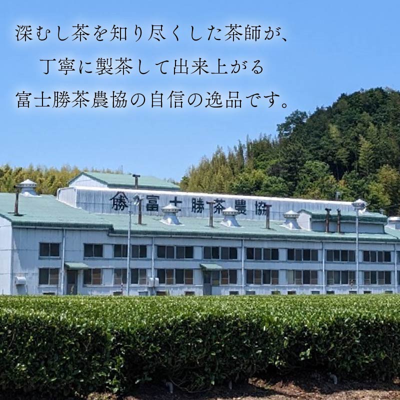 【 1年中 おすすめ 】 水出し 抹茶 入り 玄米茶 ティーバッグ  お茶 茶 煎茶 冷茶 抹茶 玄米 げんまいちゃ ティーパック 水分補給 熱中症対策 贈答 ギフト プレゼント お中元 お歳暮 お祝