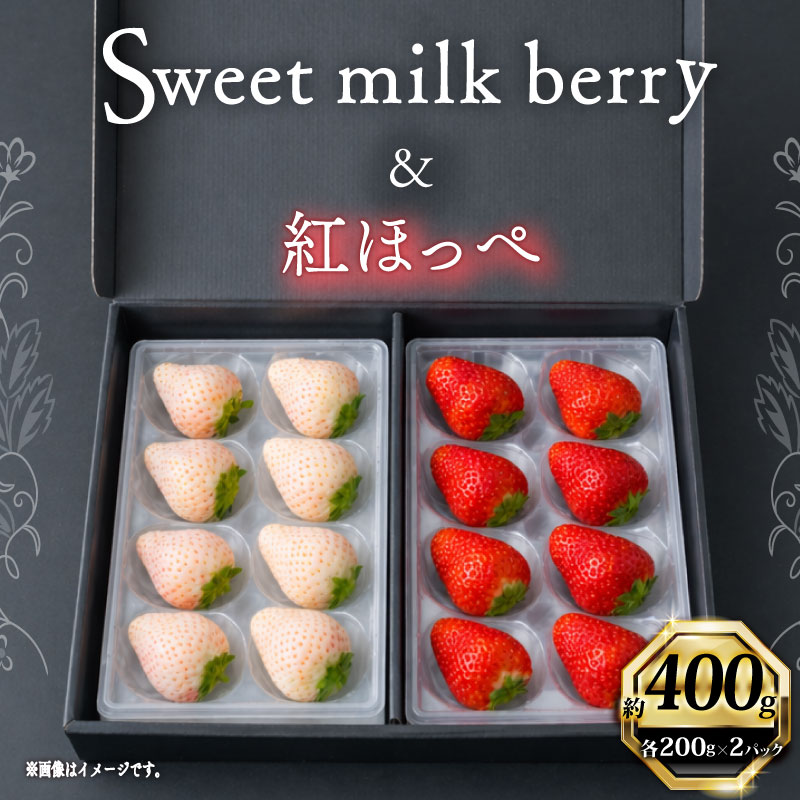 【1月から順次発送開始】いちご 紅ほっぺ 白いちご 計 400g 計 2 パック 高級 紅白 イチゴ 苺 セット Sweet milk berry 各 1 パック 各 200g 予約受付 期間限定 数