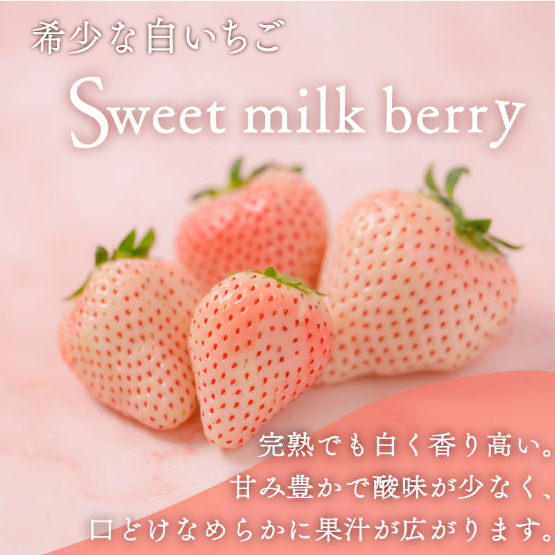 【1月から順次発送開始】いちご 紅ほっぺ 白いちご 計 400g 計 2 パック 高級 紅白 イチゴ 苺 セット Sweet milk berry 各 1 パック 各 200g 予約受付 期間限定 数