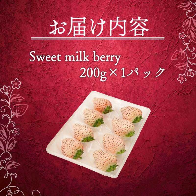 【1月から順次発送開始】 いちご 白いちご 計 200g 計 1 パック 高級 白 イチゴ 苺 セット Sweet milk berry  1 パック 200g × 1 パック 期間限定 数量限定 苺