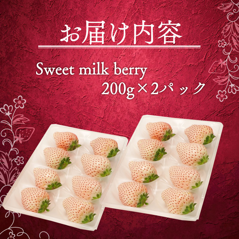 【1月から順次発送開始】 いちご 白いちご 計 400g 計 2 パック 高級 白 イチゴ 苺 セット Sweet milk berry  2 パック 200g × 2 パック フルーツ 期間限定 数