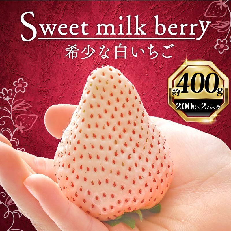 【1月から順次発送開始】 いちご 白いちご 計 400g 計 2 パック 高級 白 イチゴ 苺 セット Sweet milk berry  2 パック 200g × 2 パック フルーツ 期間限定 数