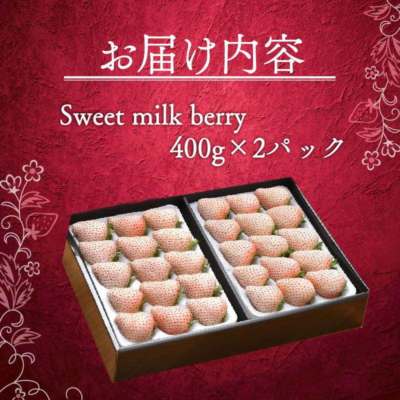 【1月から順次発送開始】 いちご 白いちご 計 800g 計 2 パック 高級 白 イチゴ 苺 セット Sweet milk berry  2 パック 400g × 2 パック フルーツ 期間限定 数