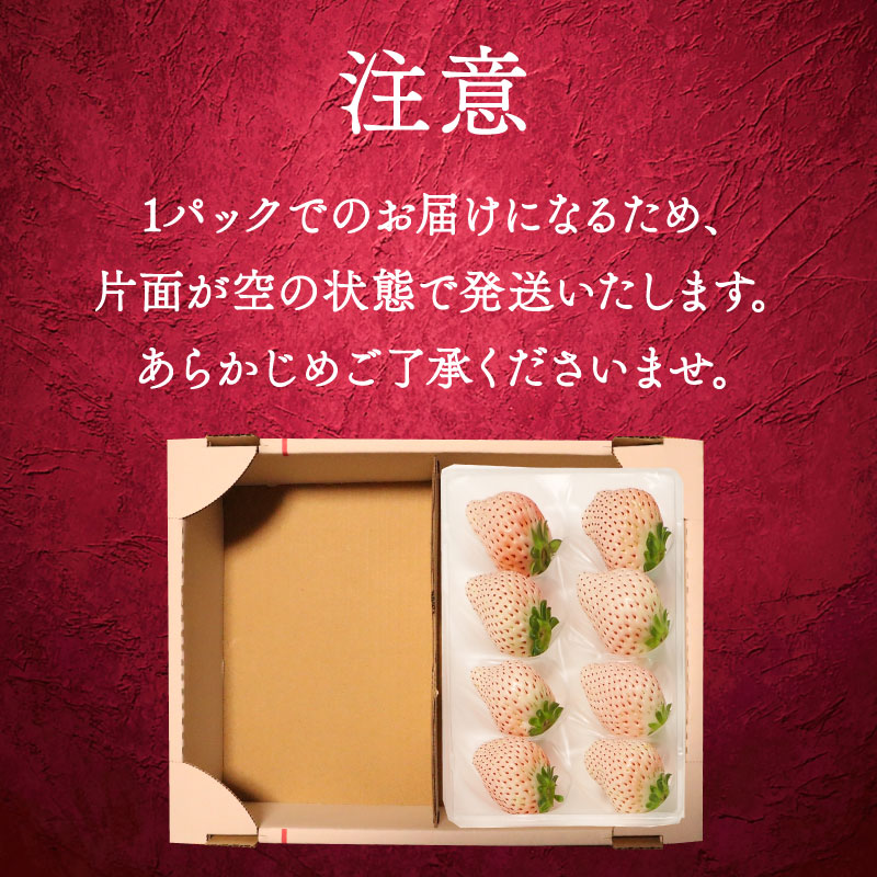 【12月下旬から順次発送開始】 いちご 白いちご 計 1.6kg 計 4 パック 高級 白 イチゴ 苺 セット Sweet milk berry  4 パック 400g × 4 パック フルーツ 期間