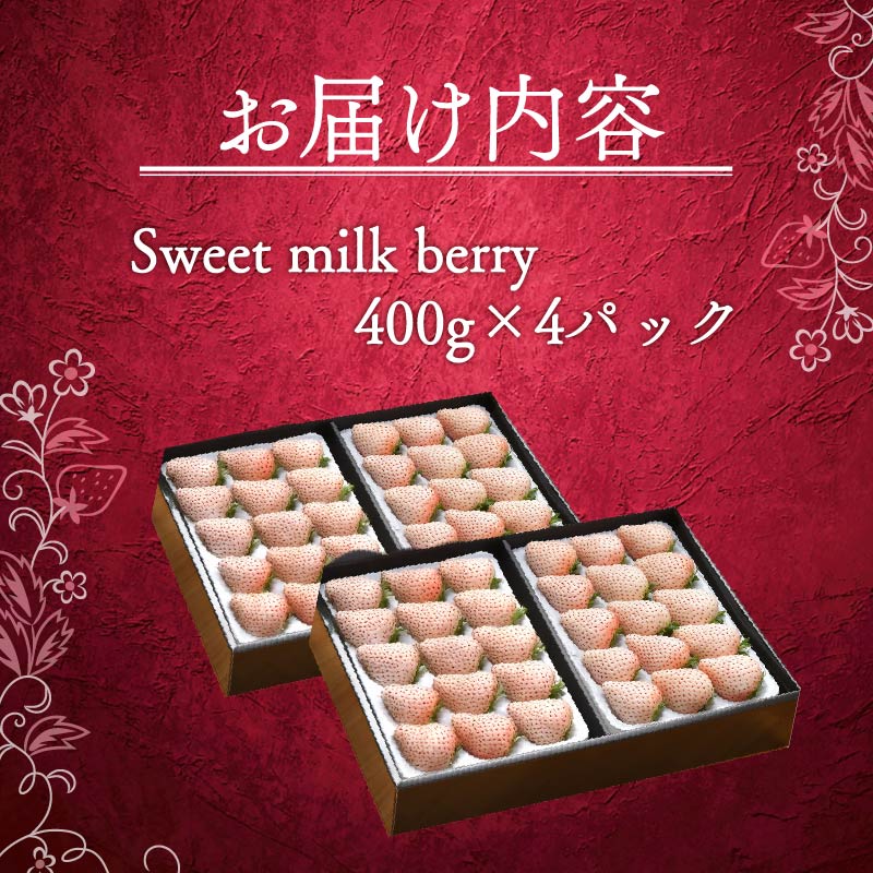 【12月下旬から順次発送開始】 いちご 白いちご 計 1.6kg 計 4 パック 高級 白 イチゴ 苺 セット Sweet milk berry  4 パック 400g × 4 パック フルーツ 期間