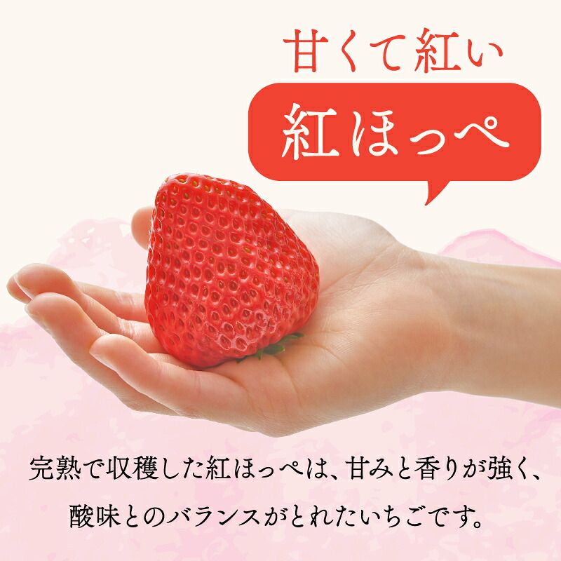 【冷凍いちご】冷凍 いちご 紅ほっぺ 計 1.3kg 高級 イチゴ 苺 セット フルーツ 果物 ストロベリー 国産 スイーツ デザート 苺 冷凍いちご 冷凍イチゴ 冷凍苺 果物 アイス ジャム シャー