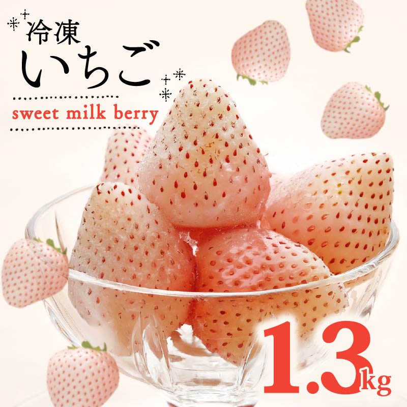 【冷凍白いちご】 冷凍いちご 白いちご 計 1.3kg sweet milk berry 高級 イチゴ 苺 セット フルーツ 果物 ストロベリー 国産 スイーツ デザート 苺 冷凍いちご 冷凍イチゴ