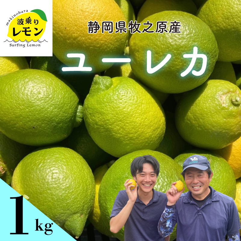 牧之原産 波乗りレモン ユーレカ 1kg