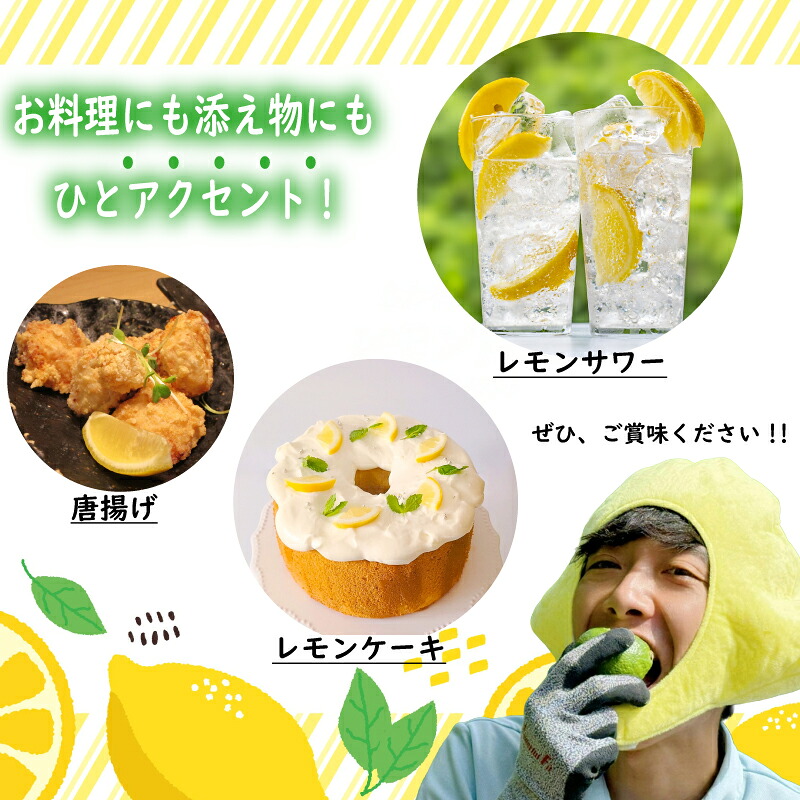 【国産 レモン】牧之原産 波乗りレモン ユーレカ 1kg  国産 Lemon 檸檬  柑橘類 柑橘 フルーツ  柑橘類 柑橘 フルーツ 果物 酸っぱい 果肉 酸味 防腐剤不使用 自宅用 贈答品 レモン