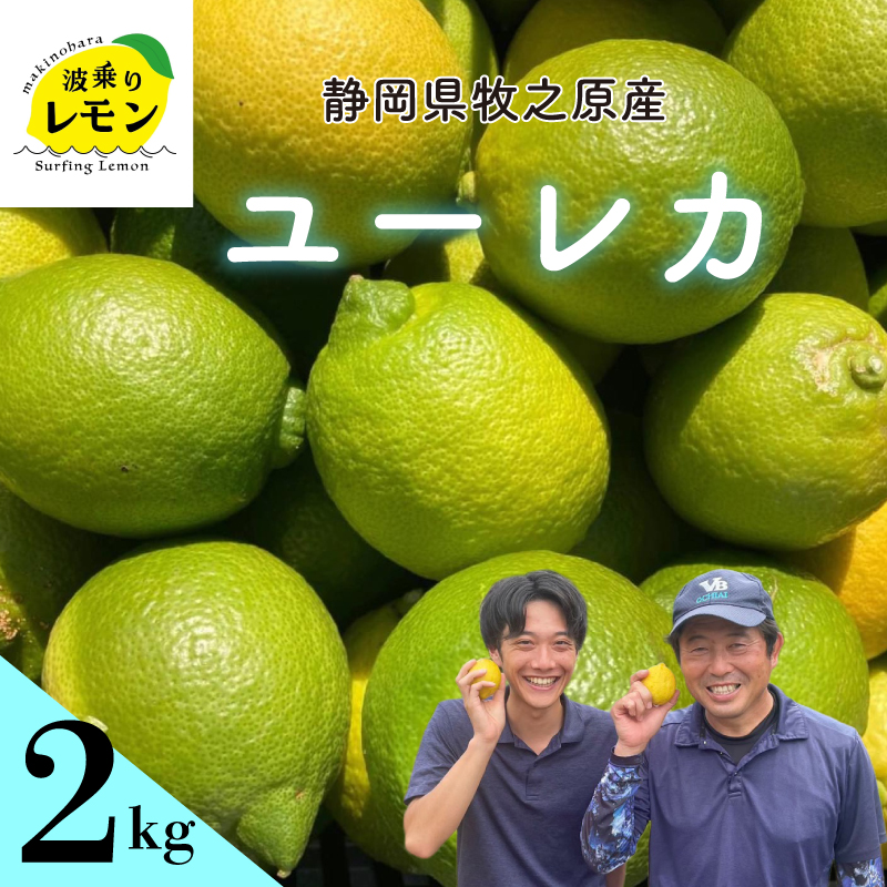 牧之原産 波乗りレモン ユーレカ 2kg