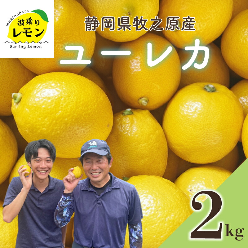 【国産 レモン】牧之原産 波乗りレモン ユーレカ 2kg  国産 Lemon 檸檬  柑橘類 柑橘 フルーツ  柑橘類 柑橘 フルーツ 果物 酸っぱい 果肉 酸味 防腐剤不使用 自宅用 贈答品 レモン
