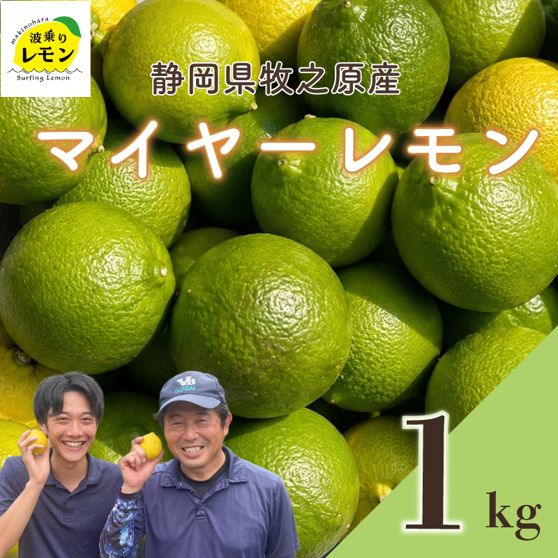 牧之原産 波乗りレモンマイヤーレモン 1kg