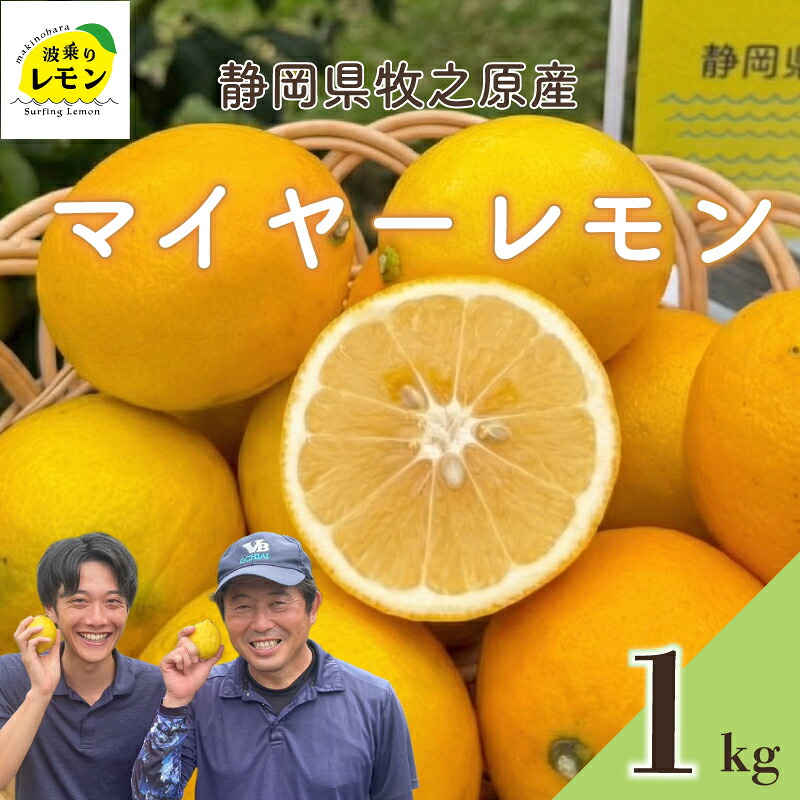 【国産】牧之原産 波乗りレモンマイヤーレモン 1kg 国産 Lemon 檸檬 柑橘類 柑橘 フルーツ 果物 酸っぱい 果肉 酸味  防腐剤不使用 自宅用 贈答品 レモンスカッシュ レモンパウンドケーキ