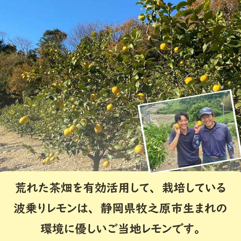 【国産】牧之原産 波乗りレモンマイヤーレモン 1kg 国産 Lemon 檸檬 柑橘類 柑橘 フルーツ 果物 酸っぱい 果肉 酸味  防腐剤不使用 自宅用 贈答品 レモンスカッシュ レモンパウンドケーキ