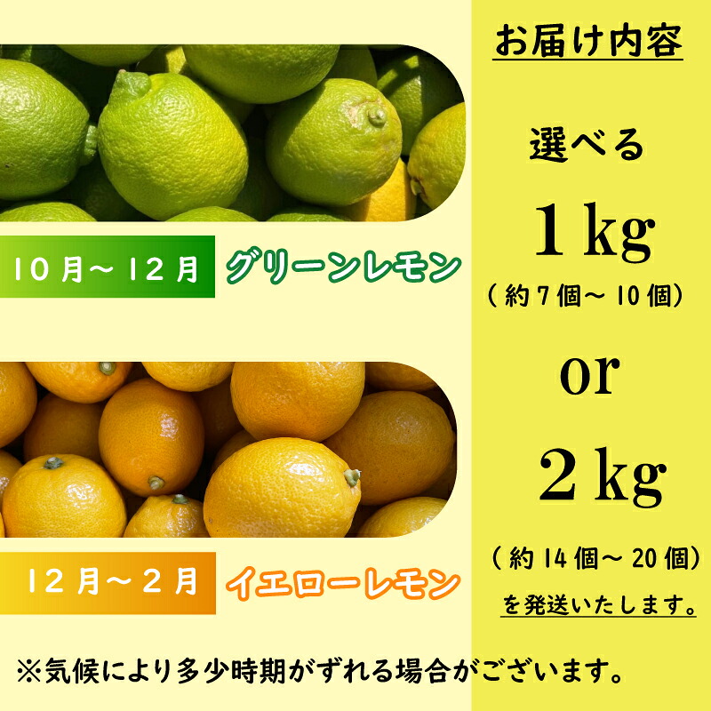 【国産】牧之原産 波乗りレモンマイヤーレモン 1kg 国産 Lemon 檸檬 柑橘類 柑橘 フルーツ 果物 酸っぱい 果肉 酸味  防腐剤不使用 自宅用 贈答品 レモンスカッシュ レモンパウンドケーキ